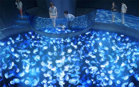 (ခရီးသွားလုပ်ငန်း) Sumida Aquarium